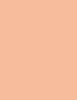 Artdeco Fluid Camouflage Foundation 20 ml