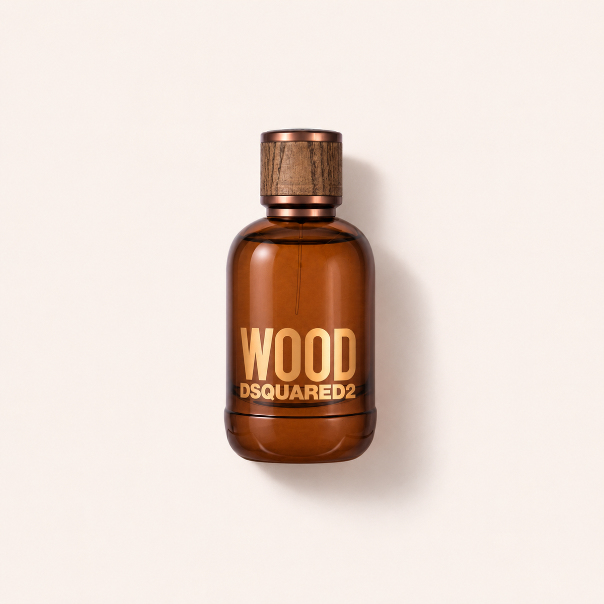Dsquared2 Wood 100 ml – toaletní voda – MrRizz