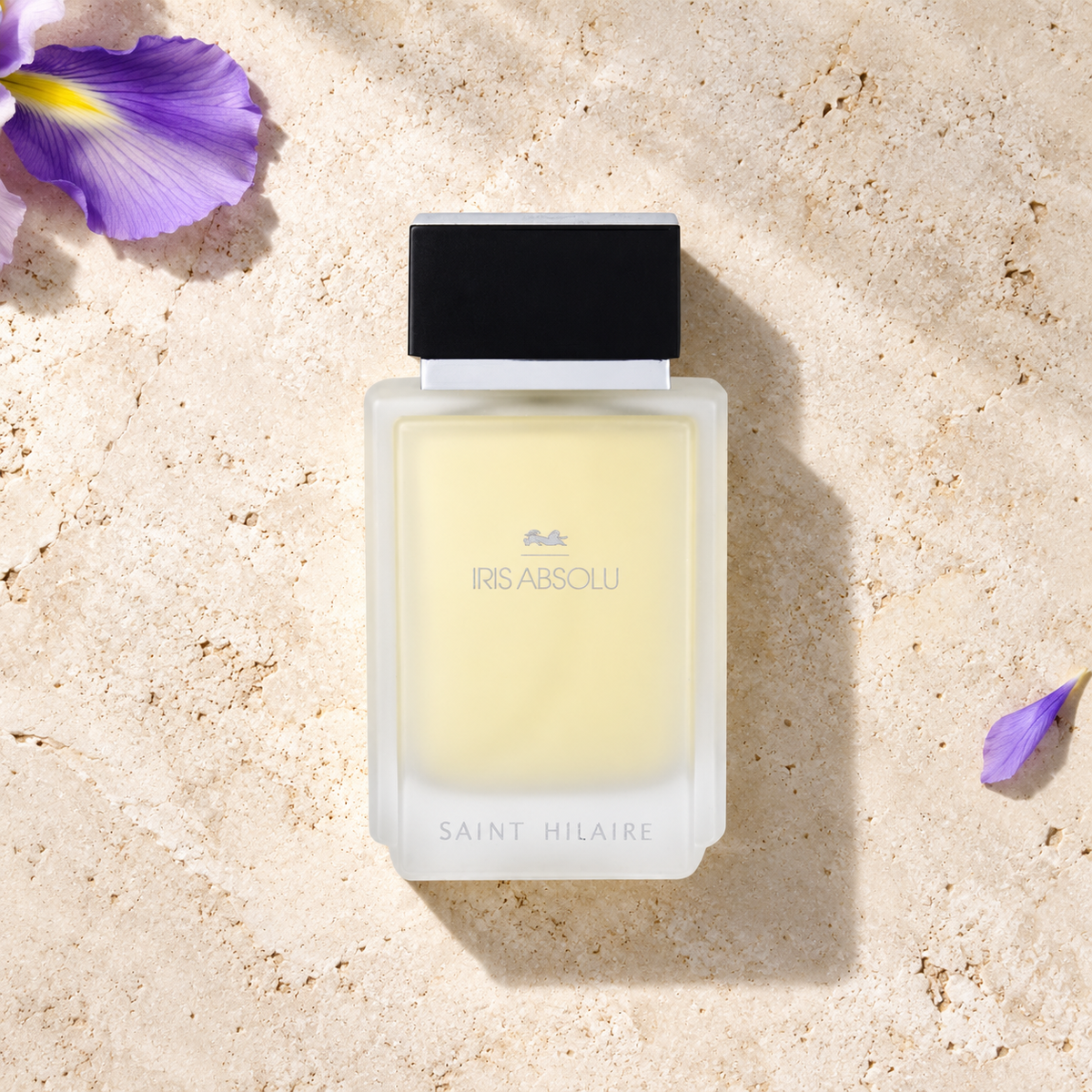 Saint Hilaire Iris Absolu EDP 100 ml – parfém v prostředí, pohled shora s bočním stínem