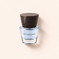 Burberry Touch For Men 30 ml – MrRizz