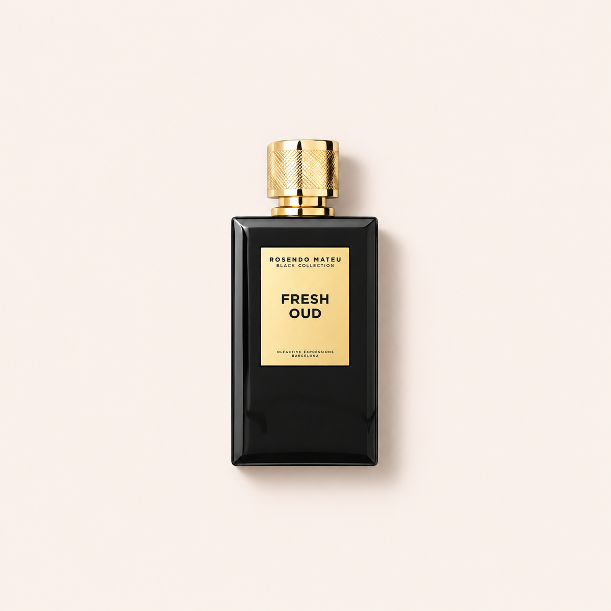 Rosendo Mateu Black Collection Fresh Oud Parfum 100 ml – MrRizz