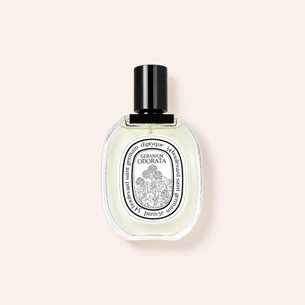 Diptyque Geranium Odorata 100 ml – MrRizz
