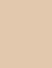 NYX Professional Makeup Can’t Stop Won’t Contour Concealer 3,5 ml - 3,5ml - Korektor
