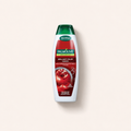 Palmolive Naturals Brilliant Color 350 ml – šampon – MrRizz