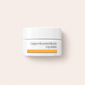 Dr. Hauschka Lip Balm 4,5 ml – MrRizz