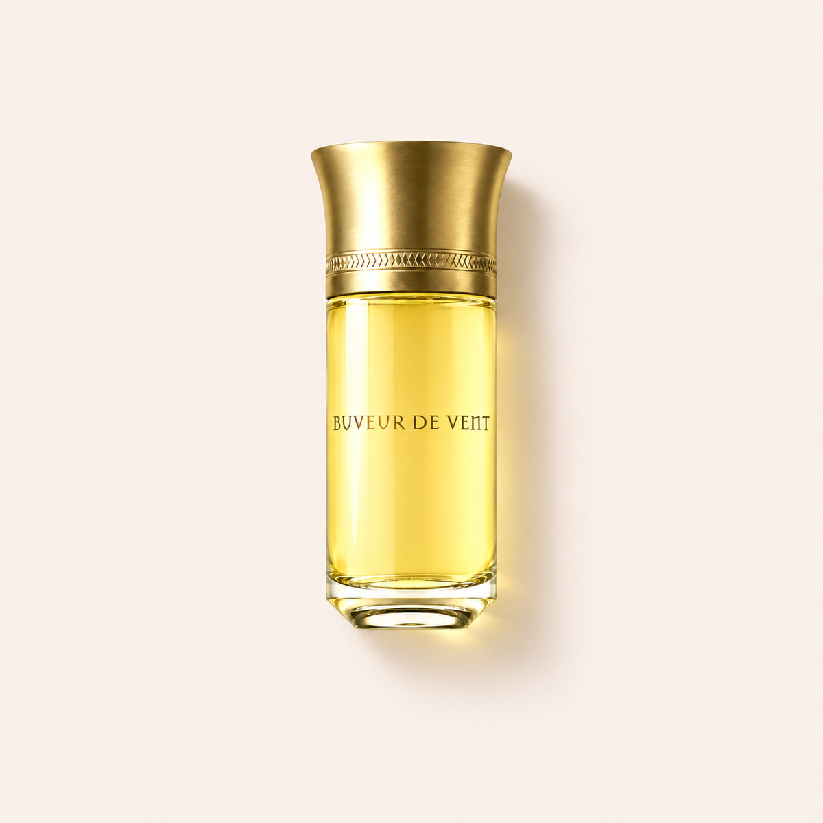 Liquides Imaginaires Buveur De Vent EDP 100 ml – MrRizz