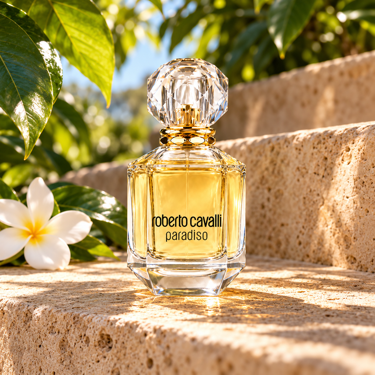 Roberto Cavalli Paradiso 75 ml – atmosférická fotografie – MrRizz