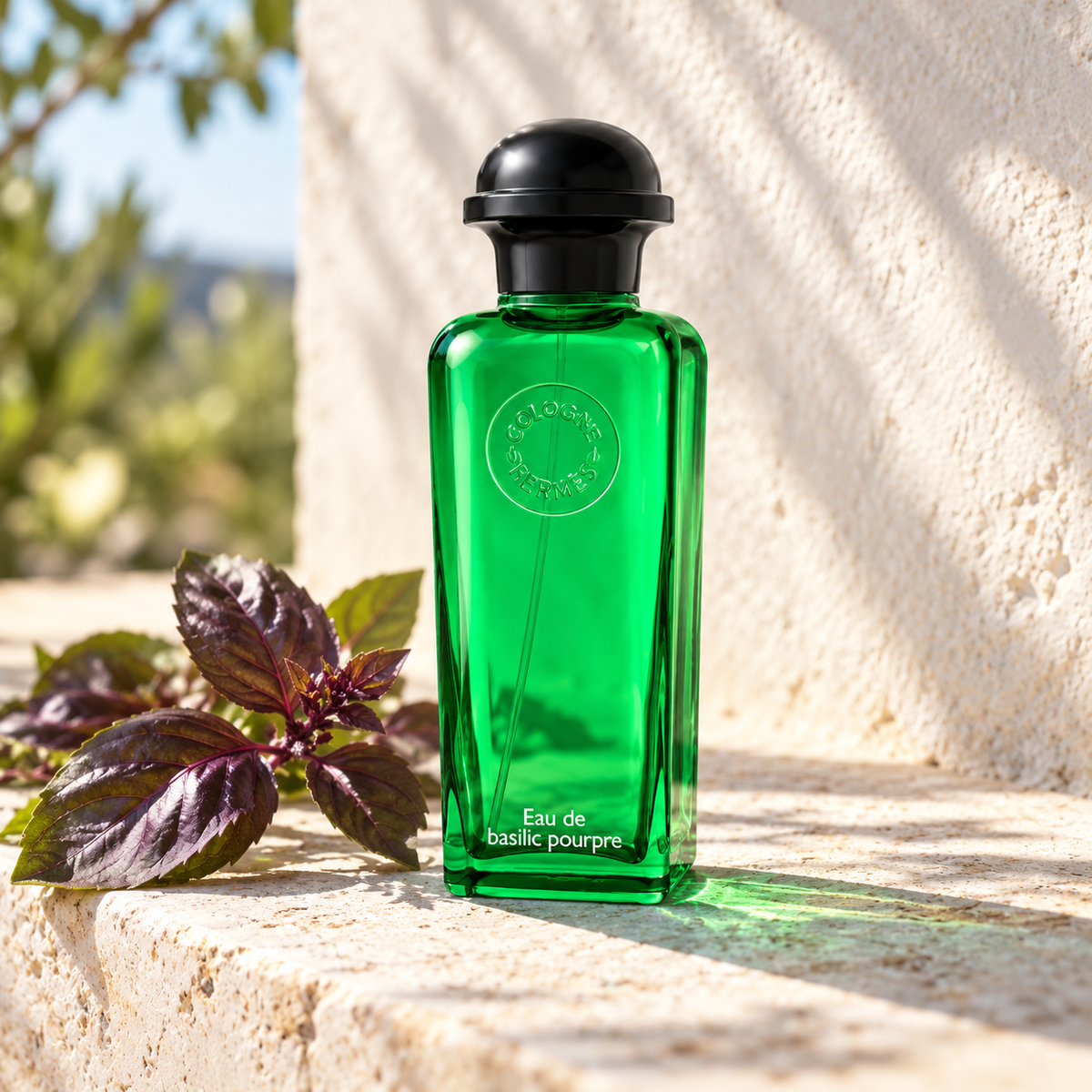 Hermes Eau de Basilic Pourpre EDC 100 ml – atmosférická fotografie – MrRizz