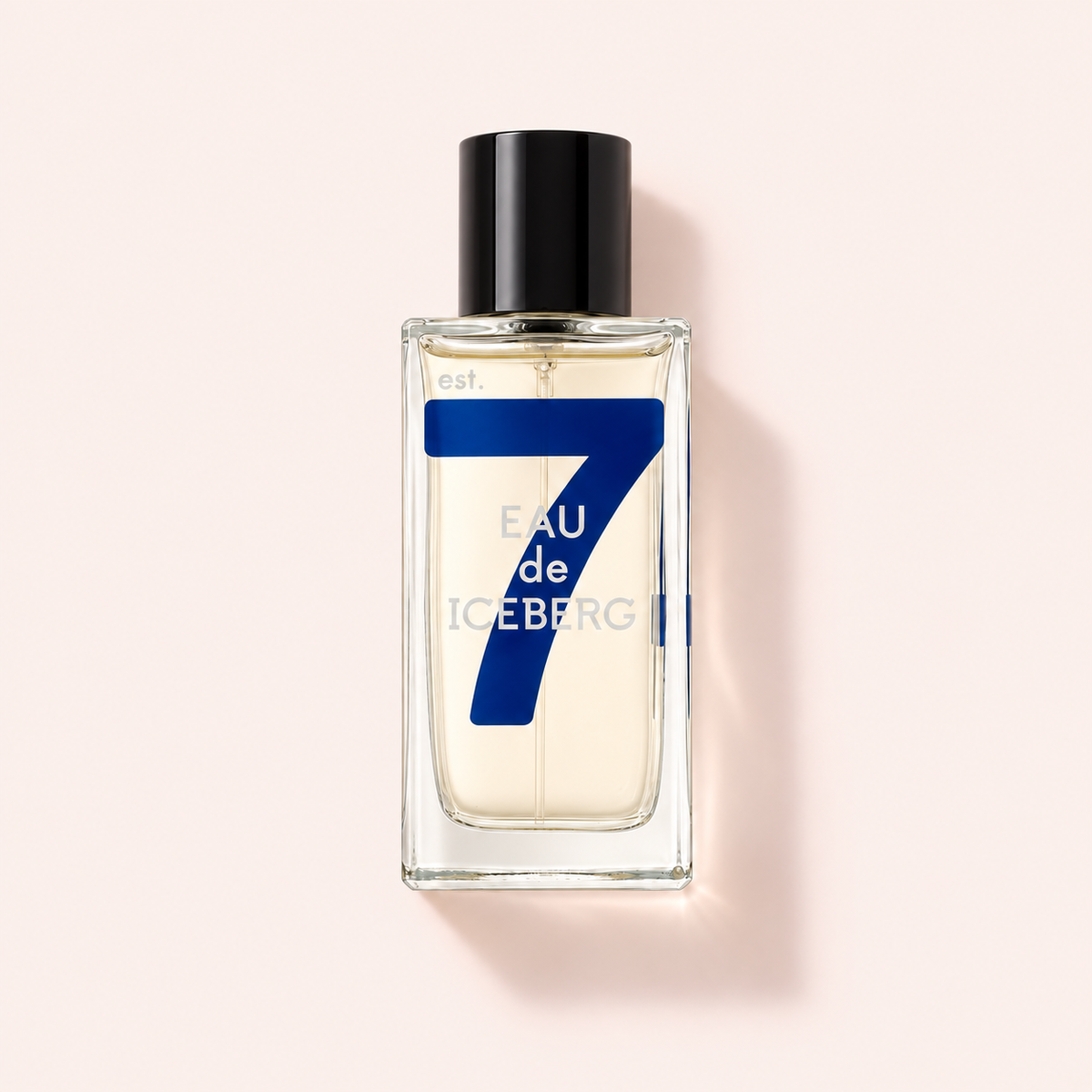 Iceberg Eau de Iceberg Cedar EDT 100 ml – MrRizz
