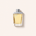 Armaf Excellus 100 ml – MrRizz