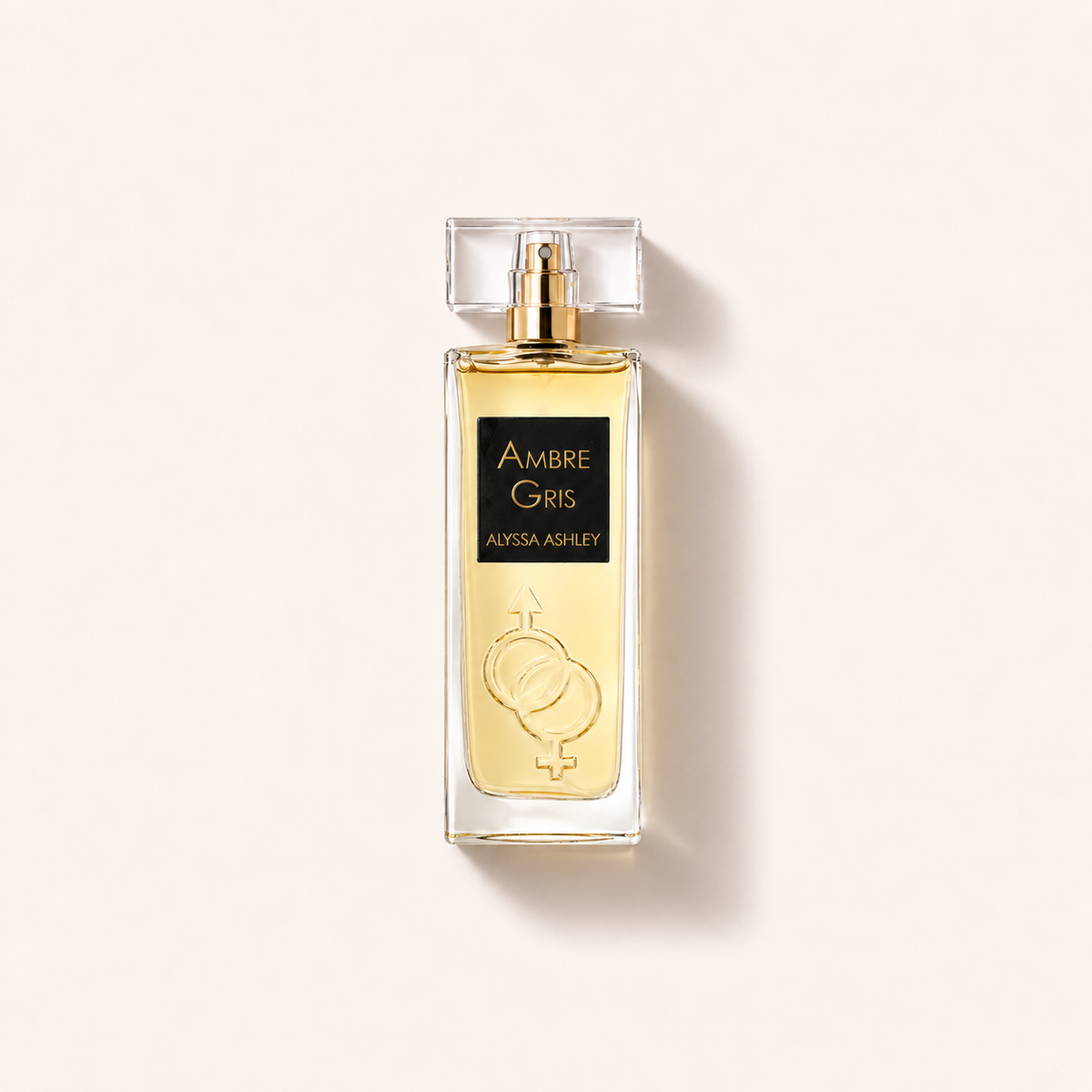 Alyssa Ashley Ambre Gris 100 ml – MrRizz