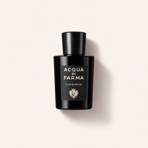 Acqua di Parma Signatures Of The Sun Oud & Spice 20 ml – MrRizz