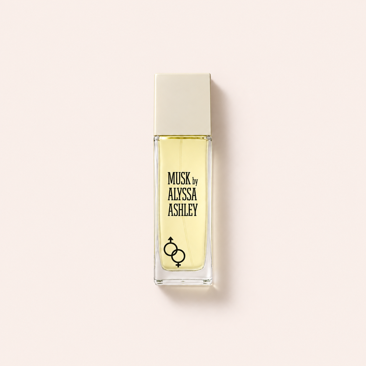 Alyssa Ashley Musk EDT 100 ml – MrRizz