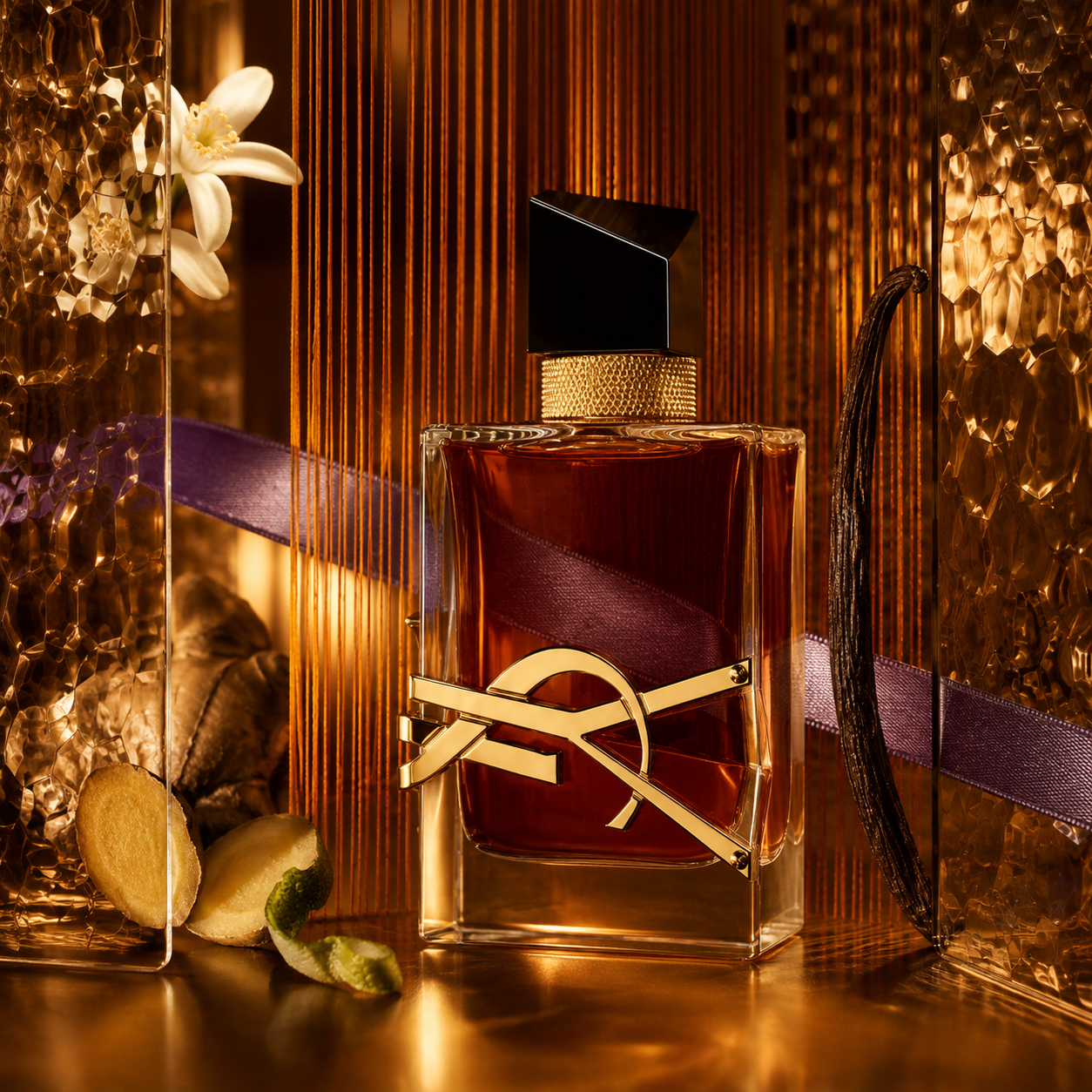 YSL Libre Le Parfum ve zlatém zátiší s vanilkou, zázvorem a fialovou stuhou – MrRizz